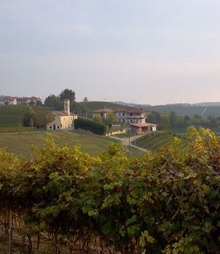 Travel With Raelinn - vineyard Piemonte Italy